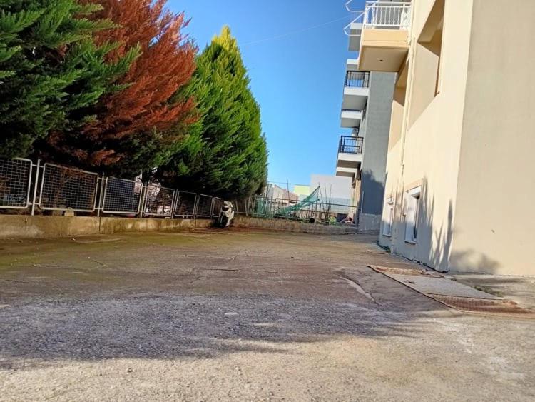 Appartement Semi-Basement 250M From Sea, Nea Chili à Alexandroúpoli Extérieur photo